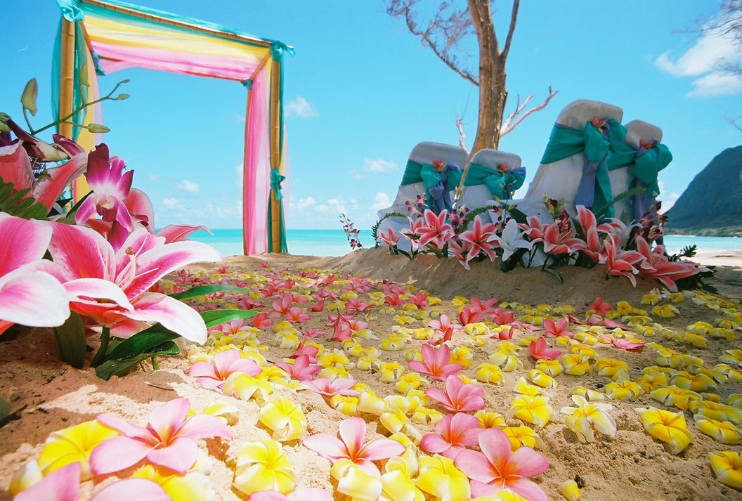  Oahu beach ceremony arch and designs in Hawaii